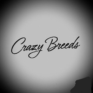 Weyez.G.Alousef - ⭐️DJ_HOLLYWOOD⭐️ presents..CrazyBreeds 
