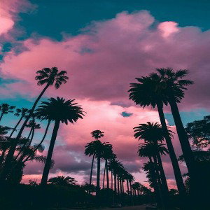days are passing by