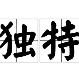 Unique(独特的)