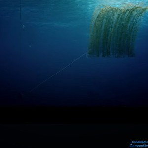 Undawater