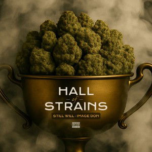 Hall of Strains (Ft. Image Don)