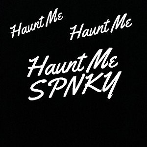 Haunt ME (Cercami)