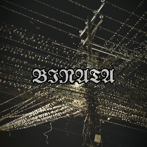 Palibhasa