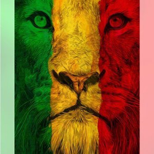 Go to the king ✍🏼🙏🏼✝️
