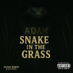 Snake In The Grass