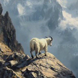 that's a real goat