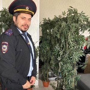 о...снова!