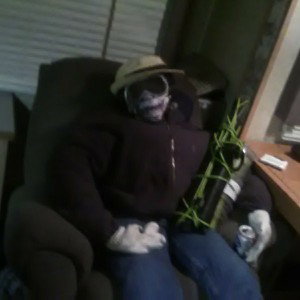 APLIS "tired"