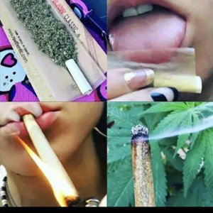 roll one