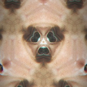 STONED PROJECT #2