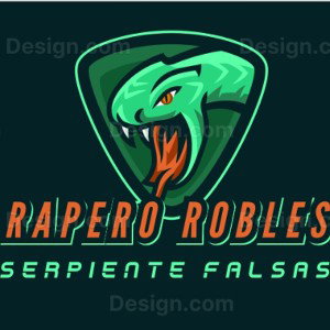 🐍SERPIENTE 🐍FALSA