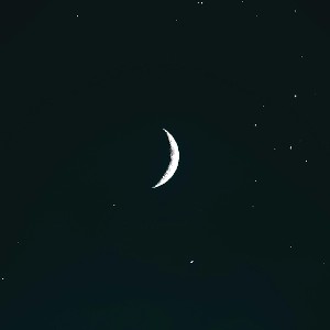 yo