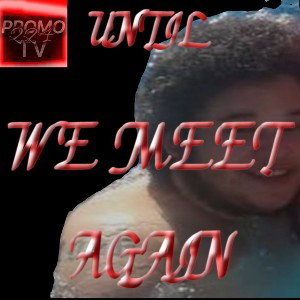 Until We Meet Again