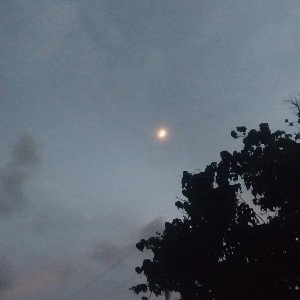 My life-Mi vida