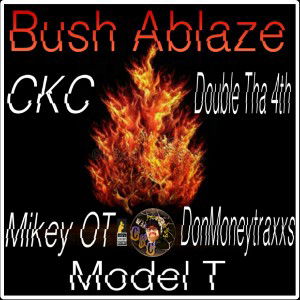 #20) Bush Ablaze