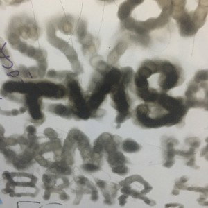 G•ShiT p.2/4 