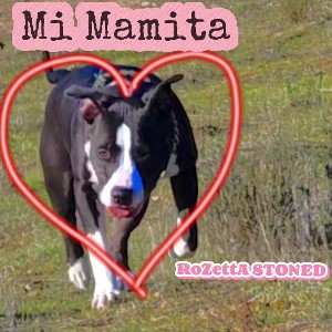 Mi Mamita