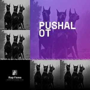 PushALot