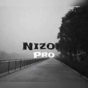 Pro-Nizom