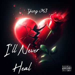 I'll Never Heal