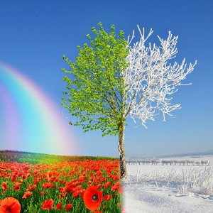 De l'hiver au primtemps