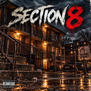 Section 8