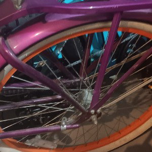nightly bike