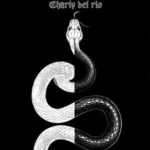 REALIDAD O FICCION (CHARLY DEL RIO)
