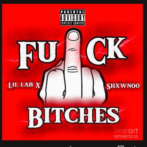 f u c k b i t c h e s. Lil Lab feat.Shxwnoo