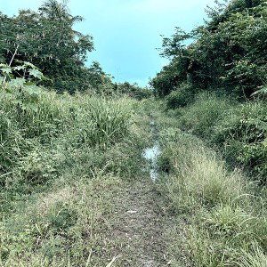 follow my path!