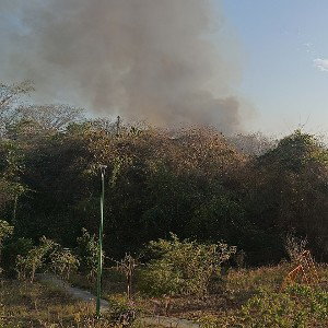 mala yerba 