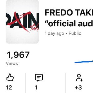 FREDOTAKE - pain