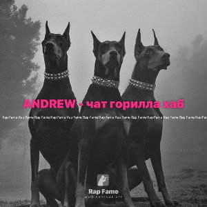 ANDREW - чат горилла хаб