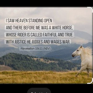 white horse