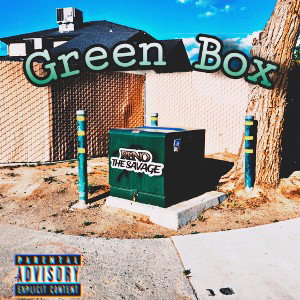 GREEN BOX 👊🏾