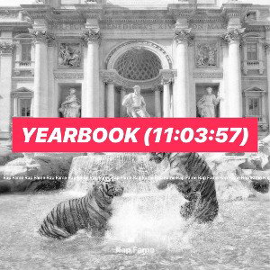 Yearbook  All we Done