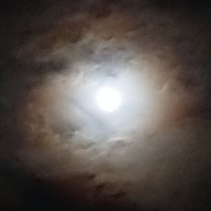 My story begins (Part 1)
