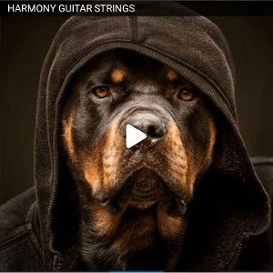 GUITAR STRINGS