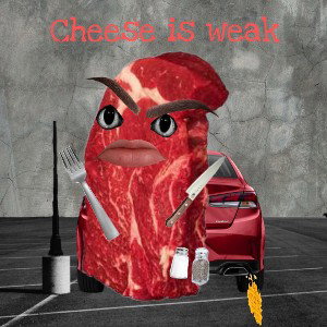 moldy cheese