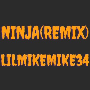 Ninja(Remix)