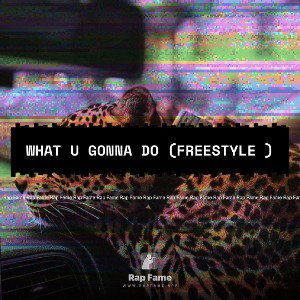 what u gonna do (freestyle )