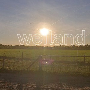 weiland