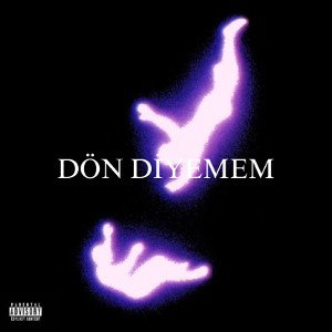 Dön diyemem