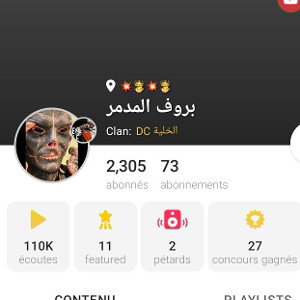بروف المدمر