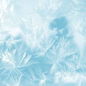 alley cat - icy  