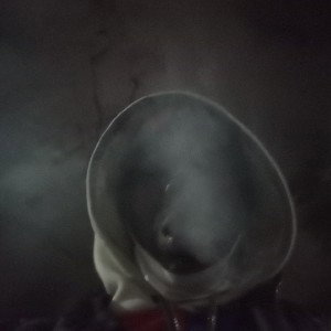 mind $pazz