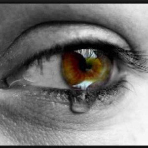 "A SONG'S CRY"