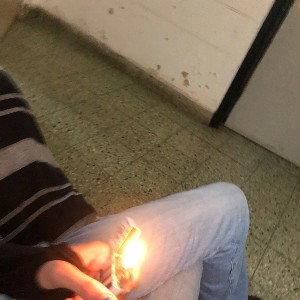 tierra virgen