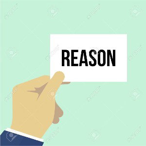 The Reason