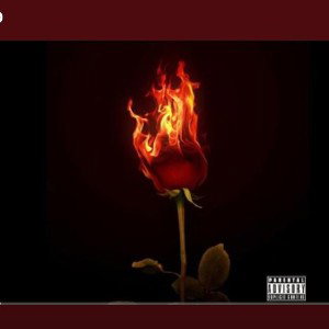 New...Freestyle..."Burning..Rose's🌹"..2026...AkNyCity 